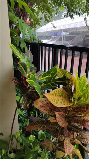 Typhoon Uwan is about to leave. Signal #2 at 9 AM. 11.10.25 #philippines #typhoon