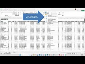 How to Freeze Panes (Columns and Rows) in Microsoft Excel