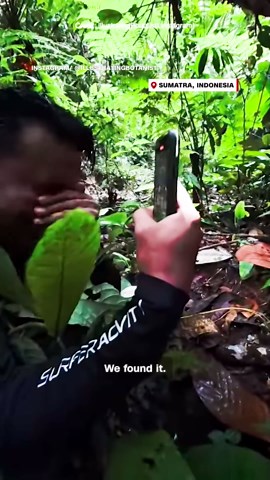 Rare flower found after 13-year search