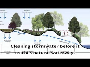 Bioswales & Green Roofs