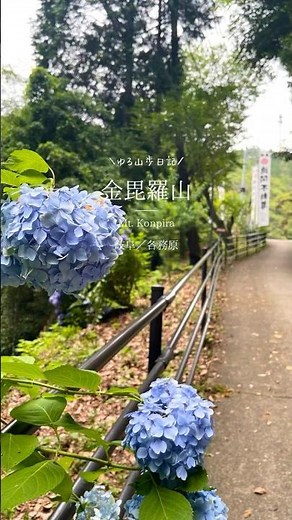【各務原金毘羅山】ふどうの森から登る初心者ルートとお楽しみの下山メシ♪