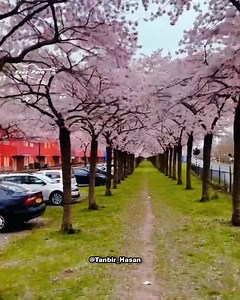 419K views · 10K reactions | - I wanna go there & walk alone  | Ｙｏｕｒ　Ｐａｉｎ | Facebook