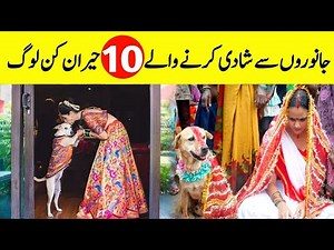 10 Unbelievable People Who Married Animals | جانوروں سے شادی کرنے والے حیران کن لوگ | INFO at ADIL