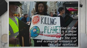 How to Stop Deforestation in the Amazon: Uniting for a Greener Tomorrow