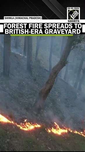Himachal: Forest Fire spreads to British-era Graveyard in Shimla