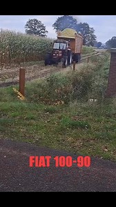 FIAT 100-90 INTRAMONTABILE 😍 #fiatagri #tractor #tractorlover #agriculture #agricoltura #farmerlife | Azienda agricola Carnevale Miino Massimo