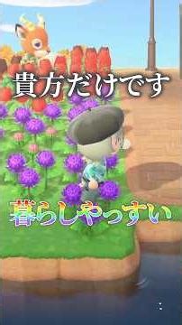 そろそろガチで島クリ始めるから勘弁して #あつ森 #animalcrossing #あつまれどうぶつの森