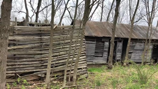 Pennsylvania Sawmill Company on Instagram: "The old ways inform the new ways! Wrapping up the new year with some classic timber frame barns located around Central PA - as inspo for our new year’s builds. 🙂 #barn #timberframe #pine #sawmill"