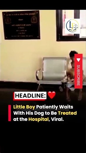 Little Boy Waits At Hospital With His Dog ❤️🐶 | Purest Bond Of Love & Loyalty