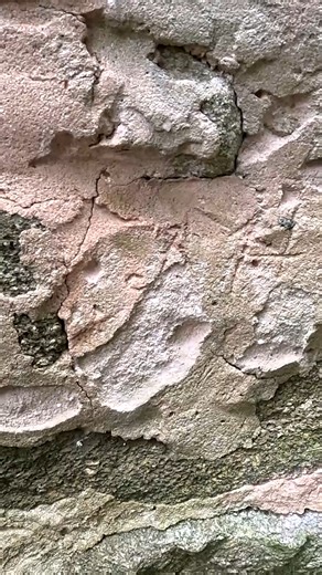 This Place Was Once Alive... #adventuresintohistory #history #exploring | Adventures Into History