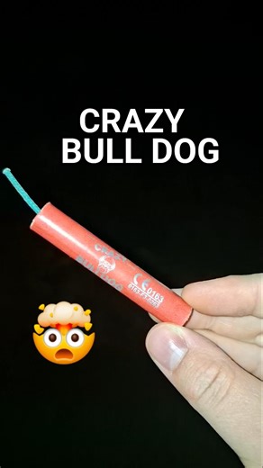 🤯BULLDOG - Crazy [Nec: 1g]🔥 #famous #fyp #viral #trending #fireworks #diwali #clips #shorts #bome