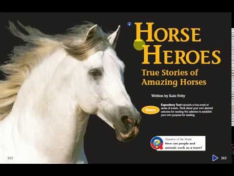 Horse Heroes.True Stories of Amazing Horses