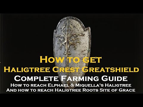 Elden Ring - How to get Haligtree Crest Greatshield - Full Guide and how to reach Haligtree Roots