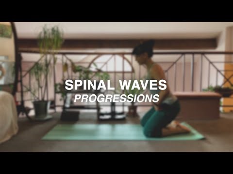 SPINAL WAVE - PROGRESSIONS