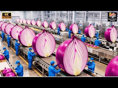 Inside America’s Biggest Onion Factory: From Raw Onions to Premium Powder (Complete Process)