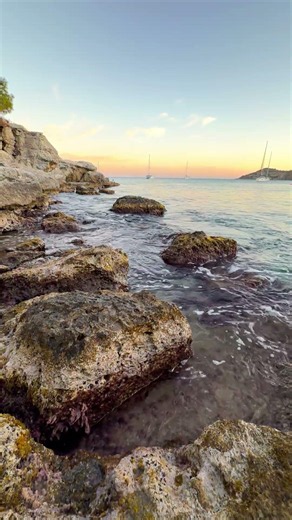 Crab Hiding in the Rocks 🦀 | Nature Sounds for Relaxation | 4K White Noise No Music #shorts