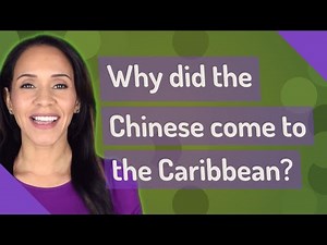 Why did the Chinese come to the Caribbean?
