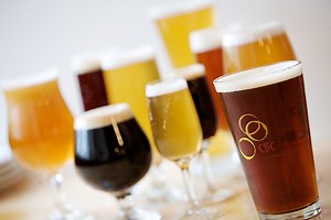 This suds for you: Taste-testing organic beer
