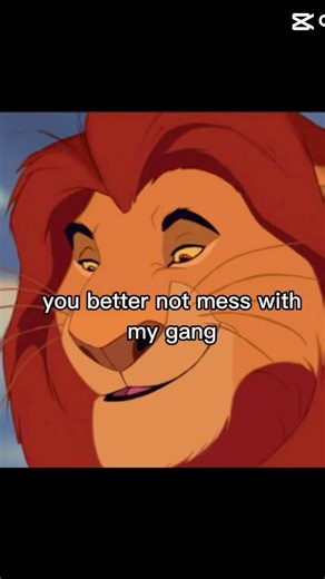 Don’t mess with this gang #thelionking #lionking