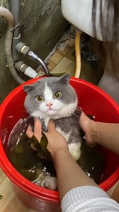 wow baby so cute | Freedom news