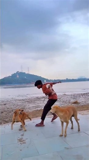 Dog🐶friendship speaks louder than words #viraljump #dogapparel #dogshorts #doglife #youtubeshorts ..