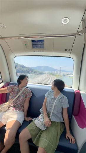 순천만 갈대밭 끝에서 순천만국가정원까지 10분에가는 스카이큐브열차 #travel #귀촌생활 #산골 #automobile #시골장 #cafe #자연농원 #시골살이브이로그