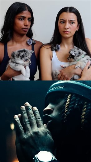 @ad.reacts on Instagram: "not the “it is what it is” 😭 no it’s not #kingvon #kingvonreaction #rap #drill #drillrap #drilltypebeat #rapreaction #drillrapper #rapper #reactionvideo #dogsoftiktok #puppysoftiktok #canadiangirls #girlsreacttorap #dogreaction #musicreaction #rap #drillmusic #rappers #viralreaction #pomsky #pomskysofinstagram #puppytok #dogtok #hiphopreaction #alexdiiane #canadiangirlsreacttorap #dogmom #dogsofinsta #doglovers #puppyvibes"