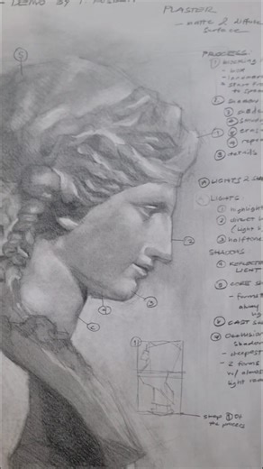 Why Drawing Remains the Artist’s Core Discipline. In classical training, drawing is not merely a preliminary exercise — it is the primary tool that shapes an artist’s visual intelligence. Through drawing, one learns structure, proportion, value hierarchy, and the analytical processes that govern all representational art. Painting, sculpture, design, and illustration all rely on the same underlying competencies: the ability to observe form accurately, interpret light logically, and construct visu