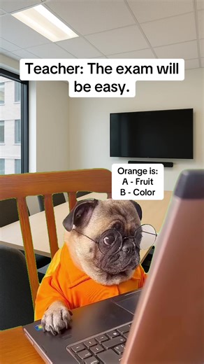 #Meme #school #humor #student #fyp