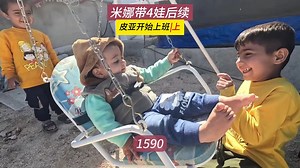 又有双胞胎小羊诞生！皮亚回来上班，米娜纪录片1590集（上）_哔哩哔哩_bilibili