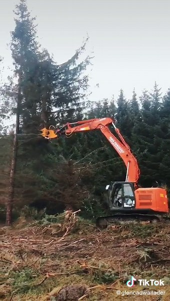 Glen Cadwallader on TikTok