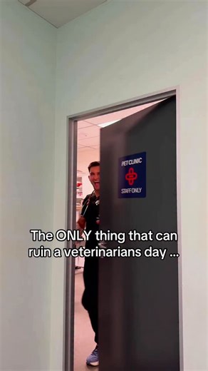 Amir Anwary on Instagram: "Nothing like an aggressive chihuahua to get the heart rate up … 😭😭 #chihuahua"