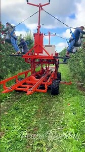 Byebye Ladders! Moving Platform Upgrading Modern Fruit Farming 🍎