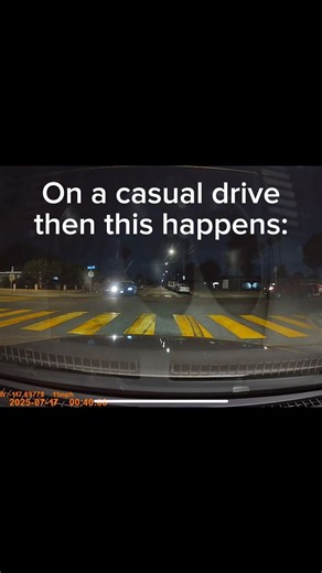 350z vs police abuse