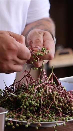 Elder Capers Recipe! Part 1