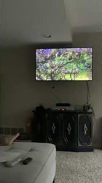 Bear In The Big Blue House Tidy Time With Bear 2002 VHS Interval