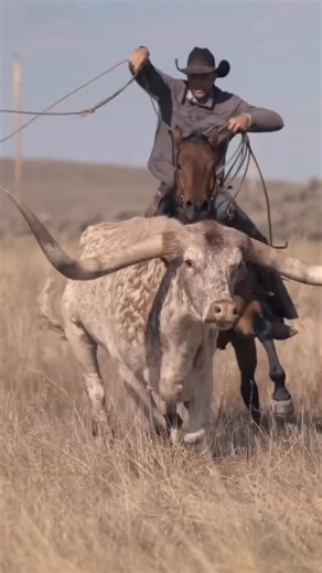Chris Petersen on Instagram: "Registration is now open for the Spring 2026 Diehard Cowboy photography workshop. Join us April 22-25th 2026 in Craig, Colorado with our friends @sombrero_ranches_inc This is a four day experience surrounded by horses, longhorns, cowboys, and a camera in your hand. It’s a one of a kind experience. Food and lodging are included. Instruction from myself and guest instructor @tdcameraman see you there!! #diehardcowboyworkshop #sombreroranches"
