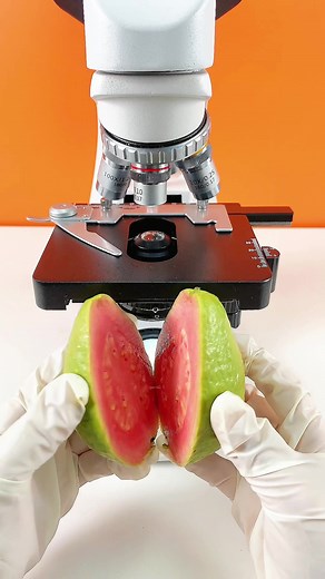 おすすめのアカウント