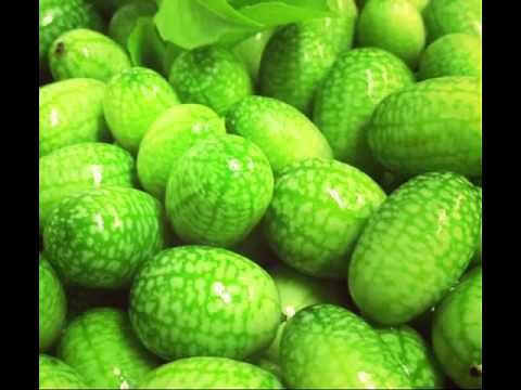 Health Benefits of Cucamelon Fruit