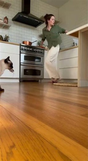 Siamese Cat Brings a Mouse | Realistic Kitchen Moment