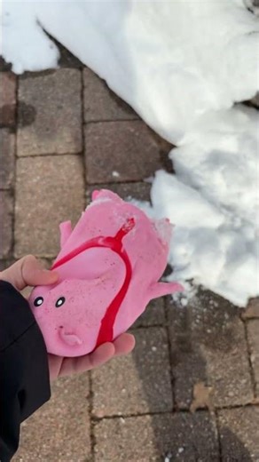 Splat pig #viral #trend #funny #fyp