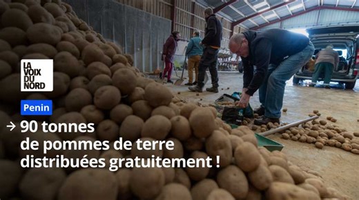 Cet agriculteur distribue 90 tonnes de pommes de terre gratuitement à Penin (62)