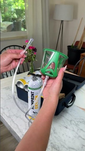 Be Prepared: The Oxygen Kit for Dogs That Could Rescue Your Pet