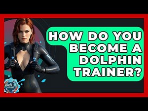 How Do You Become A Dolphin Trainer? - The Marine Life Explorer
