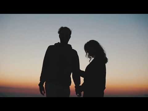 Complete Guide: Why Welsh Springer Spaniels Are Smaller