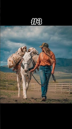 Top 7 Mule Packing Photos [Washington State Edition] #horse #mule #equestrian #mulepacking