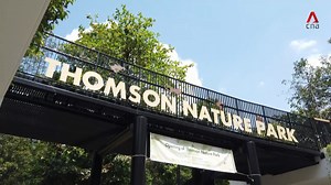 154K views · 1.5K reactions | WATCH: Curious about what Singapore's old Hainan Village looks like now? Its ruins lie within the newly opened Thomson Nature Park. | CNA | Facebook