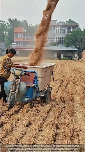 Golden Grains & Grassroots Genius : China’s Small Farm Harvest Hack