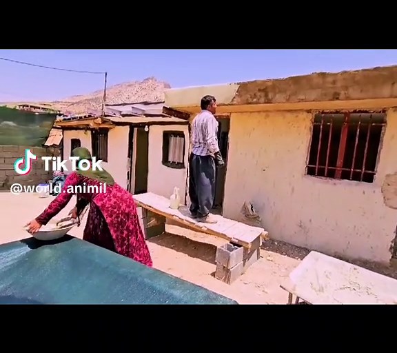 Summer Style: Outfit Inspiration for Your Wardrobe