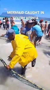 Real mermaid caught in South Africa 🇿🇦 😱 #1millionviews #ThankYou #KeepItRolling #FollowForMore | Mzansi4U